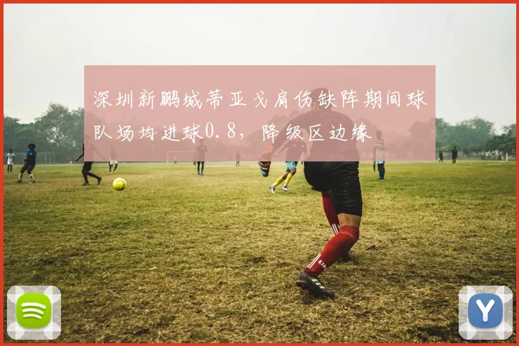 深圳新鹏城蒂亚戈肩伤缺阵期间球队场均进球0.8，降级区边缘